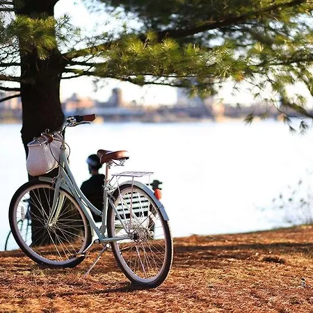 Pont Rouge , 3* 卡尔卡松